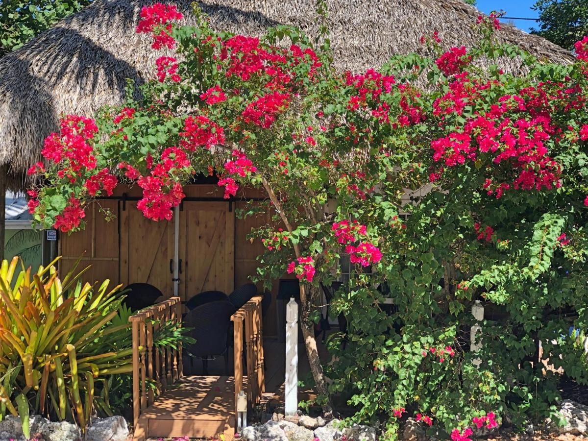 The Pelican Key Largo Cottages Exterior foto