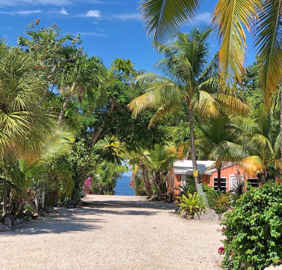 The Pelican Key Largo Cottages Exterior foto
