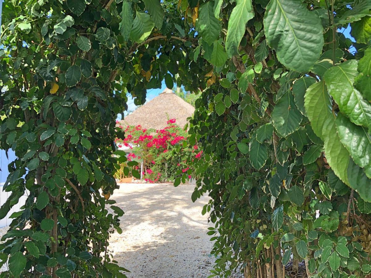 The Pelican Key Largo Cottages Exterior foto
